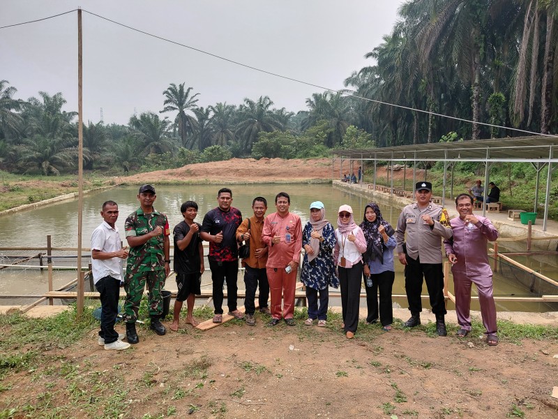 Panen Lele Ketahanan Pangan dan Buka Kolam Pancing Harian, BUMDes Koto Tandun Hadirkan Wisata Ekonomi Baru