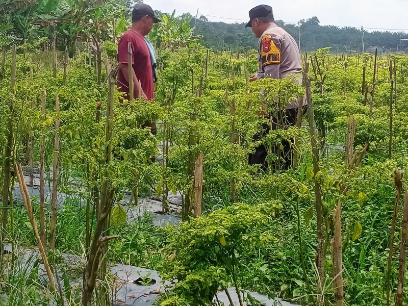 Bhabinkamtibmas Desa Jatirejo Dorong Pemanfaatan Lahan Produktif untuk Dukung Ketahanan Pangan Nasional