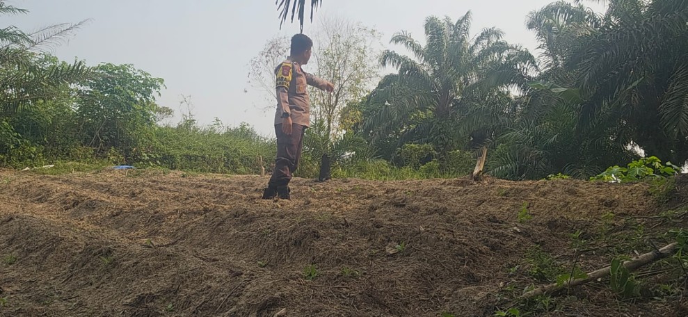 Polsek Minas Dampingi Persiapan Lahan Jagung Pipil Seluas Setengah Hektare di Minas Barat