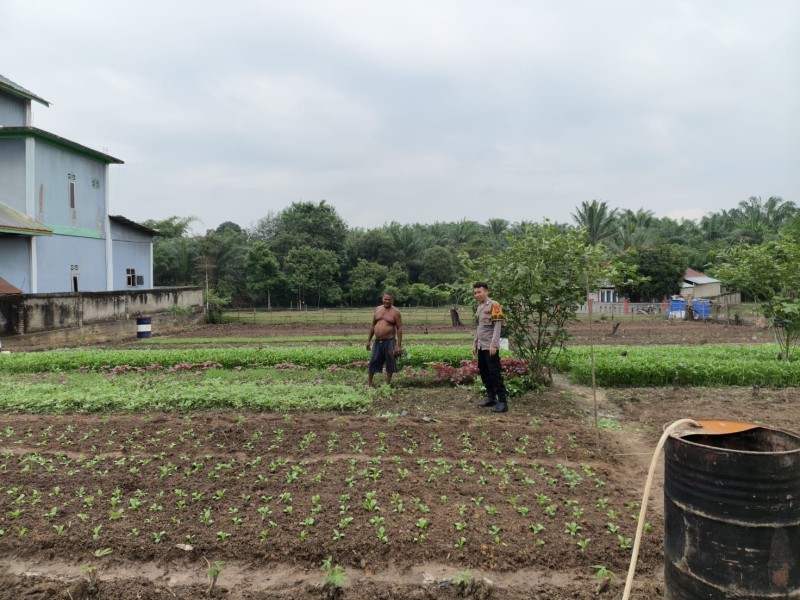 Dukung Program Ketahanan Pangan Nasional, Bhabinkamtibmas Polsek Pasir Penyu Ajak Warga Manfaatkan Pekarangan untuk Bertani