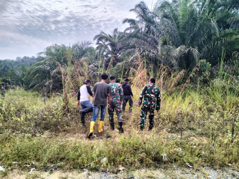 Babinsa Koptu Salomo Sembiring Gencar Lakukan Patroli Karhutla di Minas