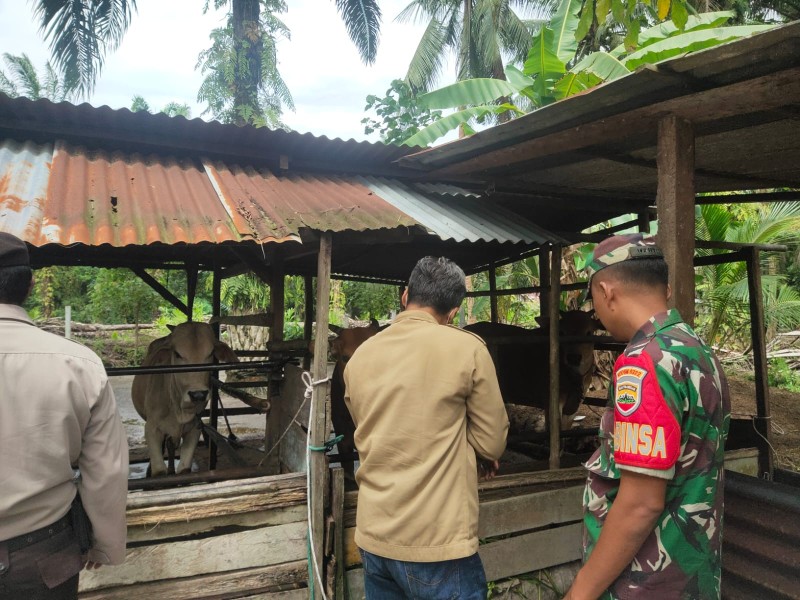 Babinsa Koramil 01/Siak Dampingi Tim URC Vaksinasi Ternak Cegah PMK di Kampung Srigading
