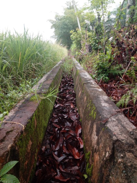 Saluran Sawah di Gampong Ladang Tak Difungsikan, Petani Keluhkan Akses Air