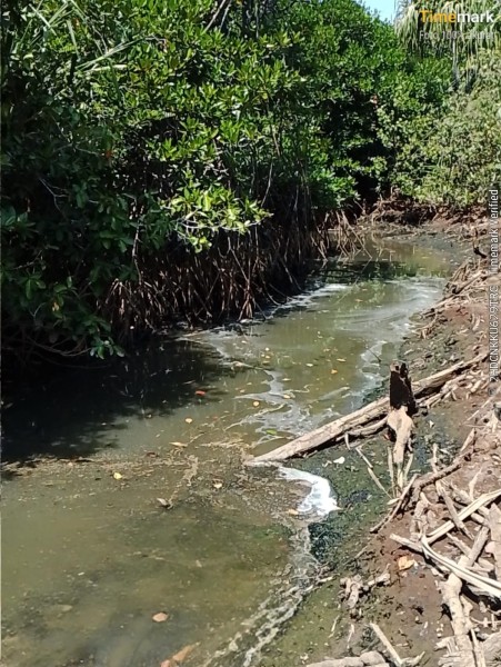 Warga Padang Kandis Keluhkan Dugaan Bau Limbah, Minta Kementerian Lingkungan Hidup Turun Tangan
