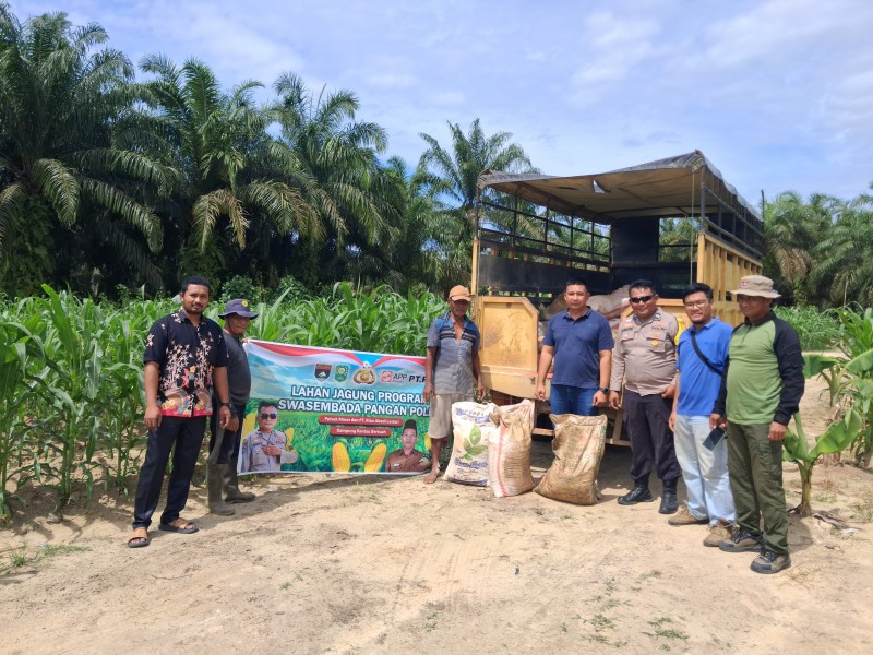 Dukung Swasembada Pangan Nasional, PT Arara Abadi Salurkan Bantuan Pupuk untuk Kelompok Tani di Minas