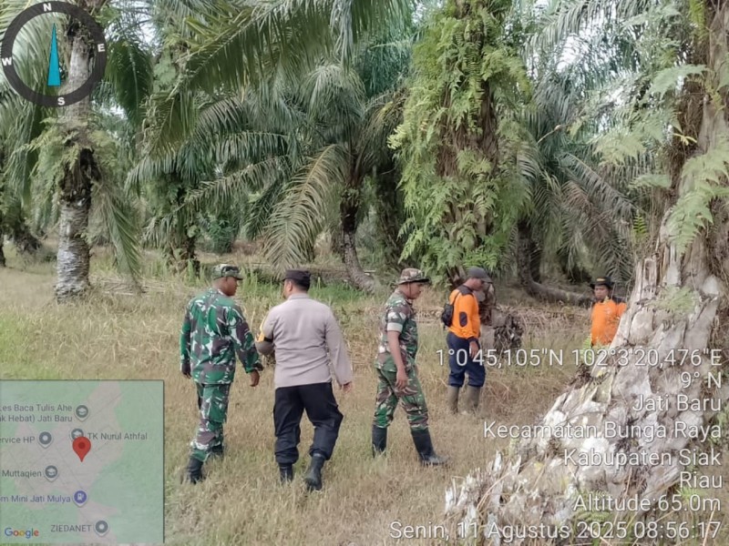 Babinsa Koramil 06/Sabak Auh Intensifkan Patroli Karhutla di Kampung Jatibaru