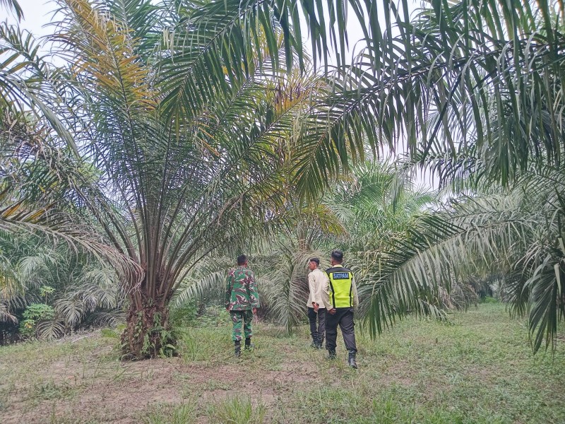 Serma Sri Wahyudi Patroli Karhutla di Lubuk Jering, Libatkan Warga dan Security