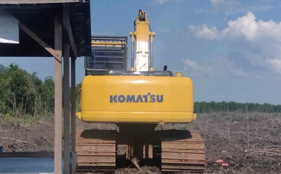 LSM-KPK Desak Penegak Hukum Usut Perusakan Hutan Mangrove di Desa Deluk
