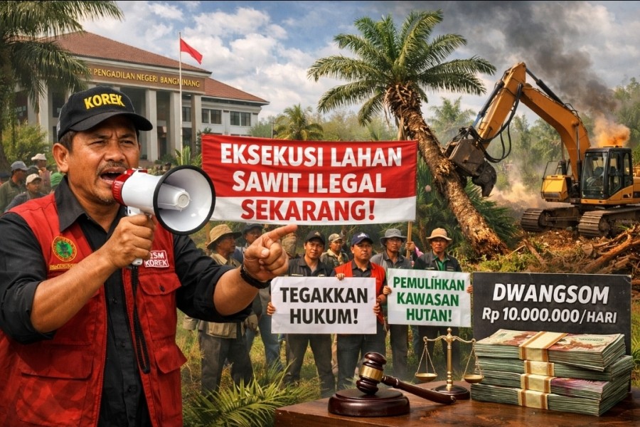 DPW LSM KOREK Riau Desak Eksekusi Lahan Sawit Ilegal di Kampar Segera Dilaksanakan