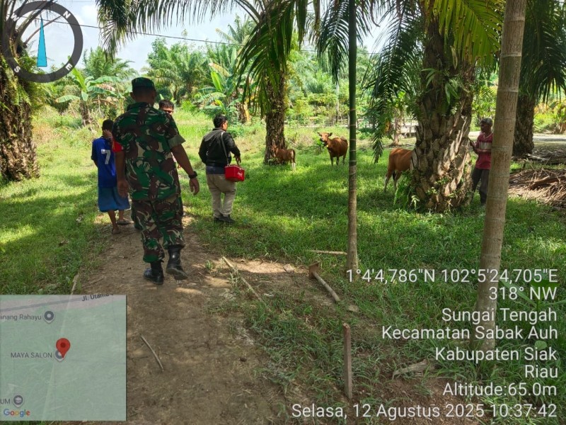 Babinsa Koramil 06/PWK Sabak Auh Serka Yuswan Dampingi Penetapan Tim URC PMK di Kampung Sungai Tengah