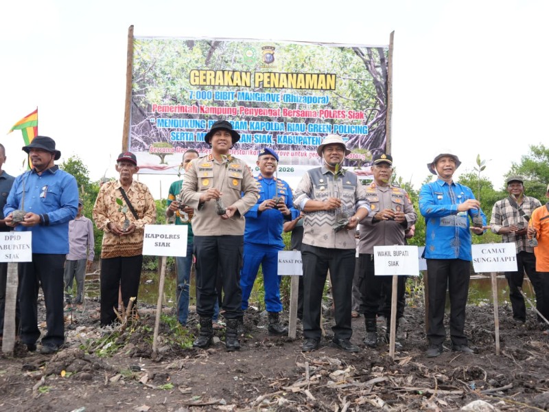 Cegah Abrasi di Pesisir Kabupaten Siak, Polres Bersama Pemerintah Kampung Tanam 7000 Bibit Mangrove