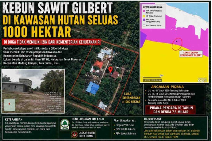 Di Duga Kebal Hukum : Kebun Sawit 1000 Hektare  di Kawasan Hutan Tanpa Izin Milik Gilbert di Dumai Jadi Sorotan