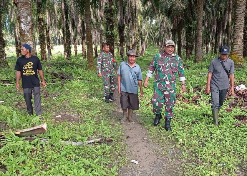 Babinsa Koramil 01/Siak Laksanakan Patroli Karhutla di Banjar Seminai