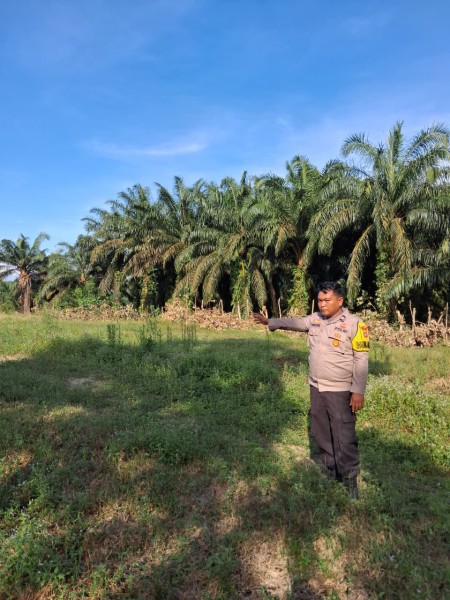 Bhabinkamtibmas Polsek Minas Cek Calon Lahan Program Ketahanan Pangan Nasional Berupa Tanaman Jagung Pipil di Rantau Bertuah