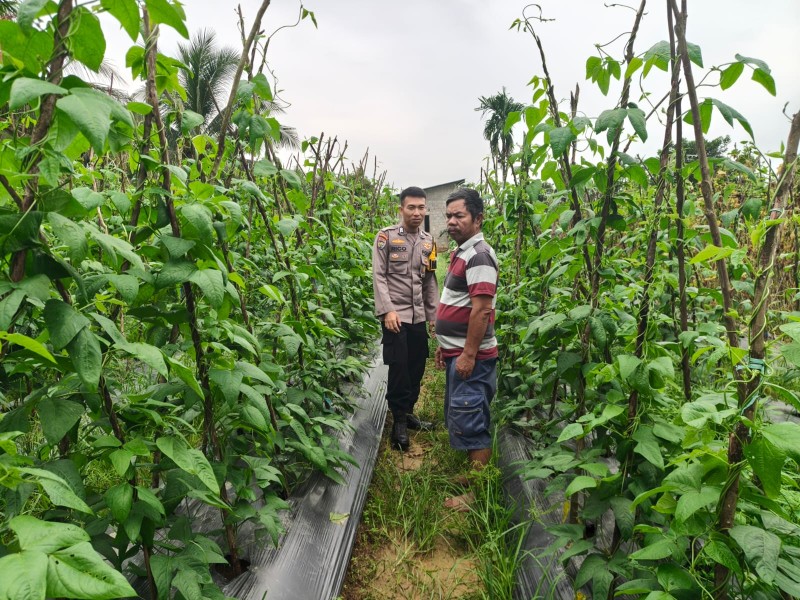 Dukung Swasembada, Polsek Pasir Penyu Aktif Berdayakan Warga dalam Program Ketahanan Pangan Nasional
