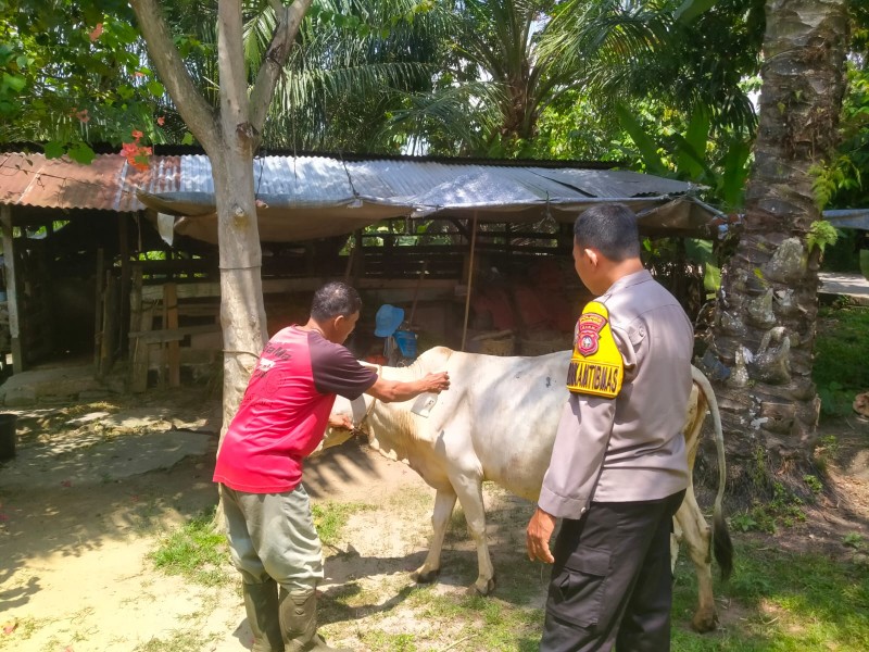 Bhabinkamtibmas Polsek Pasir Penyu Dorong Warga Manfaatkan Pekarangan untuk Perkuat Ketahanan Pangan