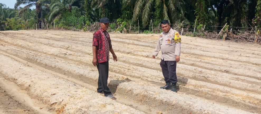 Polsek Minas Cek Kesiapan Lahan Jagung Pipil dan Salurkan 150 Sak Pupuk Kandang di Rantau Bertuah