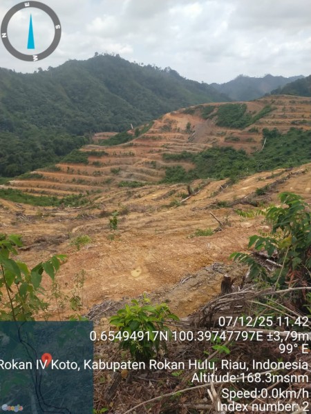Diduga Caplok Lahan Warga Tanpa Ganti Rugi, Masyarakat Rokan Hulu Desak BPN Tunda HGU PT Anugrah Niaga Sawindo