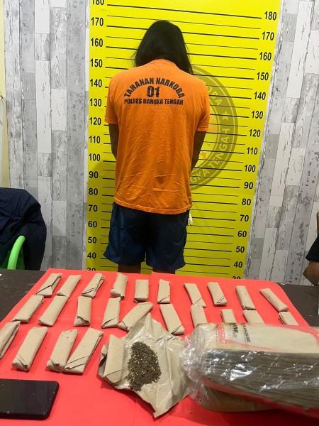 Satresnarkoba Polres Bangka Tengah Gagalkan Peredaran 660 Gram Ganja, Dua Pelaku Dibekuk