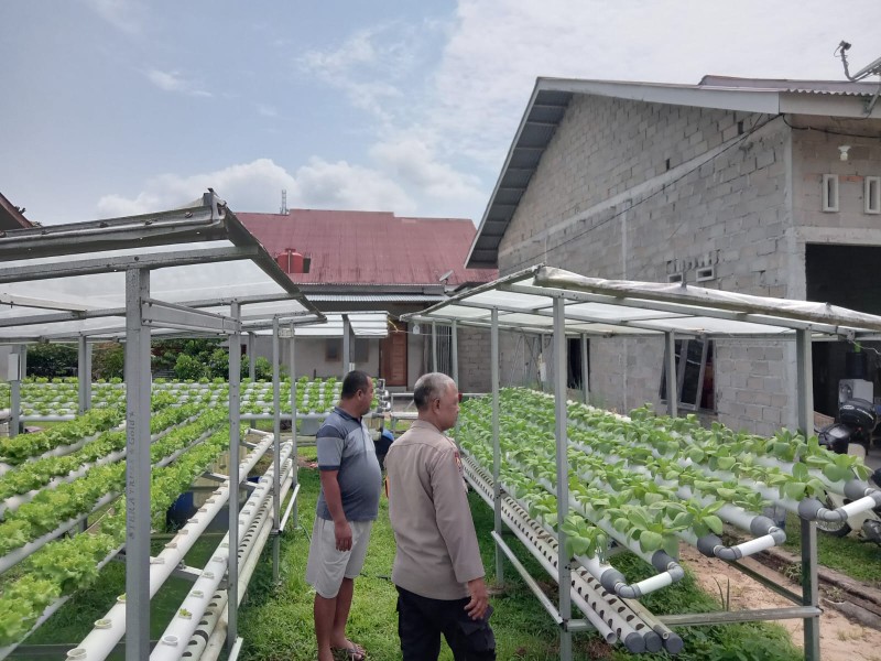 Bhabinkamtibmas Polsek Pasir Penyu Dorong Warga Manfaatkan Pekarangan Untuk Dukung Ketahanan Pangan Nasional