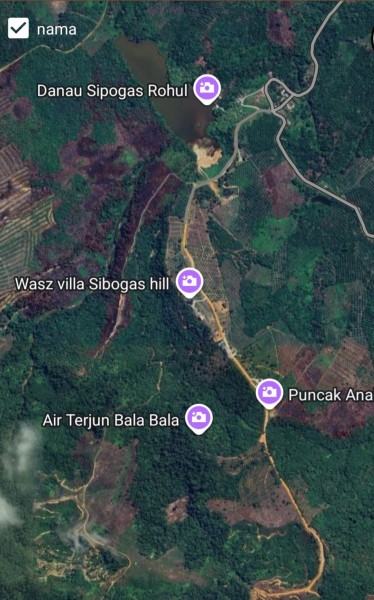 Diduga Terjadi Perubahan Tutupan Hutan di Kawasan HPK, Aktivis Minta Pemerintah dan APH Lakukan Penelusuran