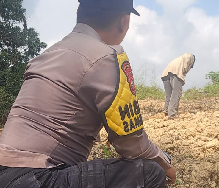 Persiapan Tanam Kuartal II, Kelompok Tani Minas Barat Bersihkan dan Gemburkan Lahan Jagung Pipil