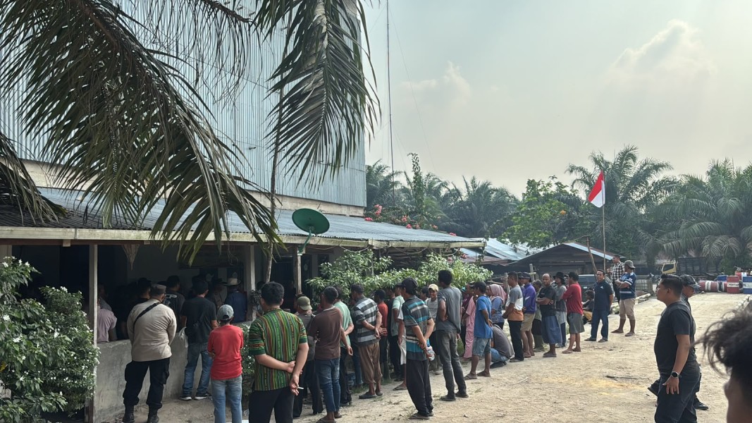 Kuasa Hukum CV Java Victory Bantah Tuduhan Perampasan 376 Hektare, Ungkap Fakta Mediasi Dengan Kelompok Tani Lubuk Umbut
