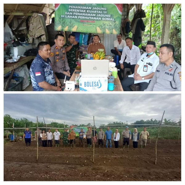 Kapolsek Merawang Kompak Bersama Warga Ikut Penanaman Jagung Serentak di Desa Jada Bharin