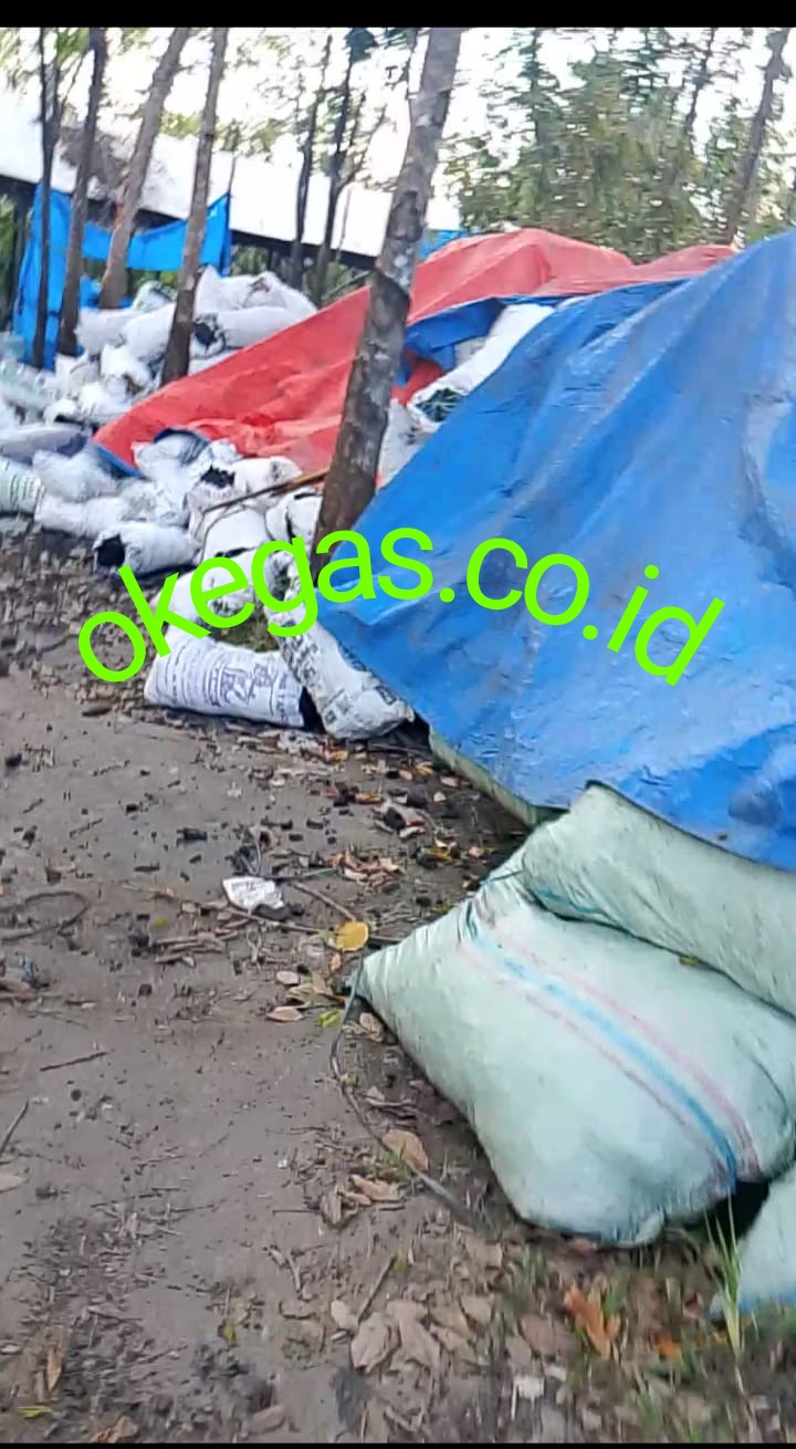 Diduga Ada Aktivitas Cetak Timah Ilegal di Sungailiat, Warga Minta Aparat Lakukan Penyelidikan