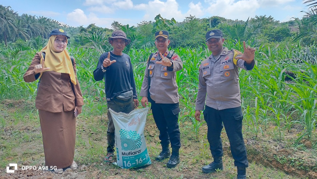 Sambangi Lahan Warga, Kapolsek Minas Pantau Langsung Perkembangan Program Ketahanan Pangan Dan Serahkan Bantuan Pupuk NPK