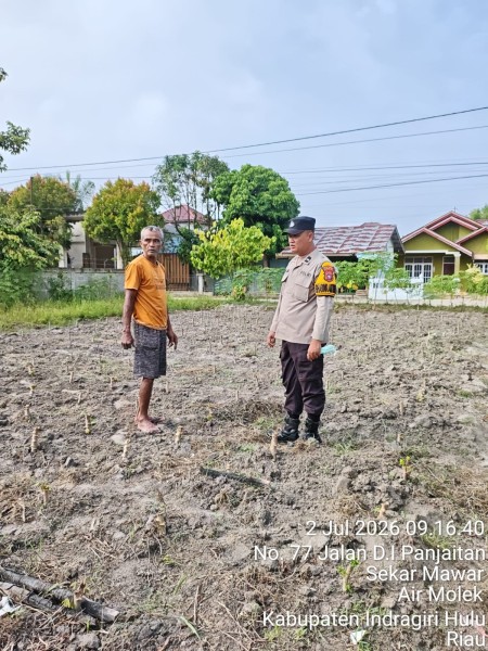 Bhabinkamtibmas Polsek Pasir Penyu Ajak Warga Optimalkan Pekarangan dengan Budidaya Singkong demi Ketahanan Pangan