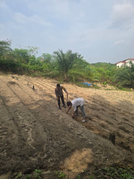 Polsek Minas Dorong Ketahanan Pangan, Kelompok Tani Siapkan Lahan Setengah Hektare untuk Tanaman Jagung